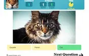 Trivia Games Blog Thumbnail