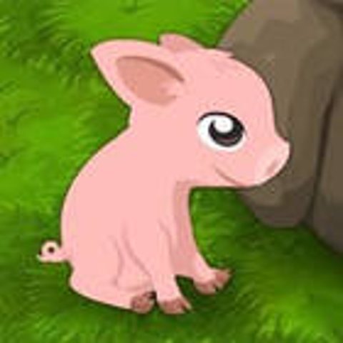Block The Pig thumbnail