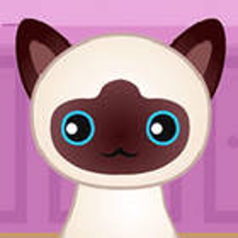 Guess The Kitty thumbnail